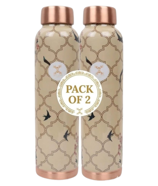 MERCAPE Elevate Your Hydration Game Pure Copper Water Bottle - Joint Less, Leak Proof (950ml) (Pack Of 2)